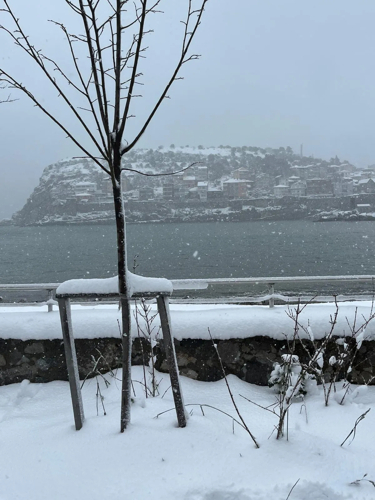 Kar altında Amasra yarımadası: karla kaplı evler, sis içindeki deniz ve sahil duvarı